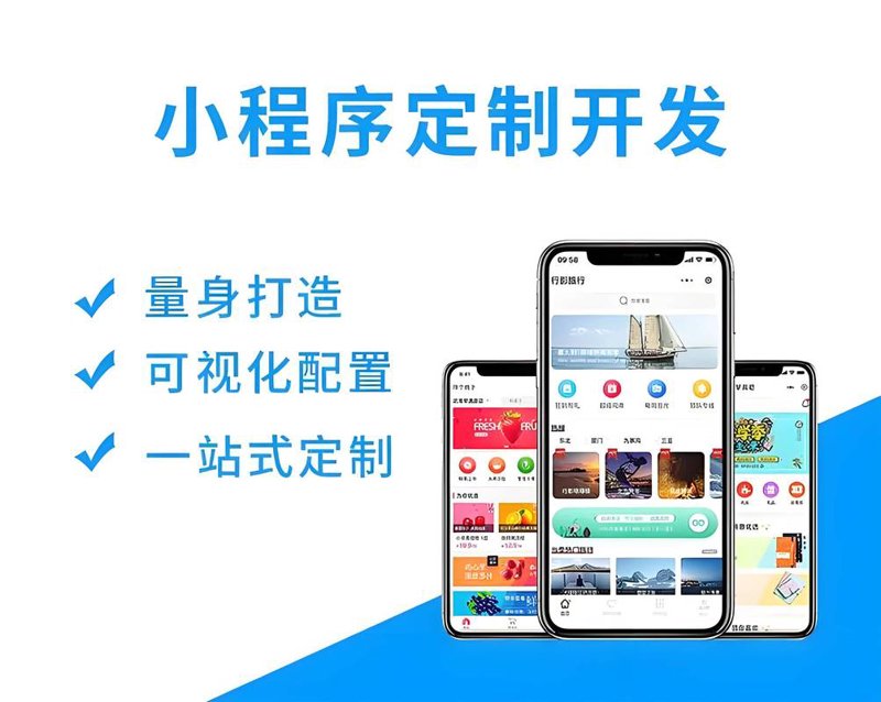 软件定制开发